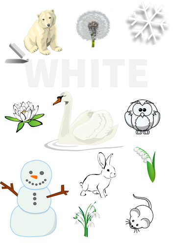 Colour Poster: White