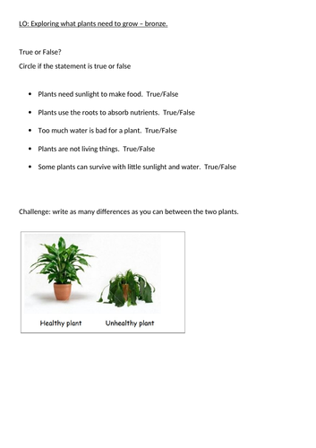 What do plants need to grow?