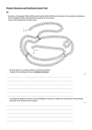 3.4.1, 3.4.2 AQA genetic code and  protein synthesis summary exam questions