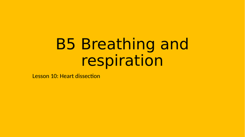 Heart dissection - KS3 10/16