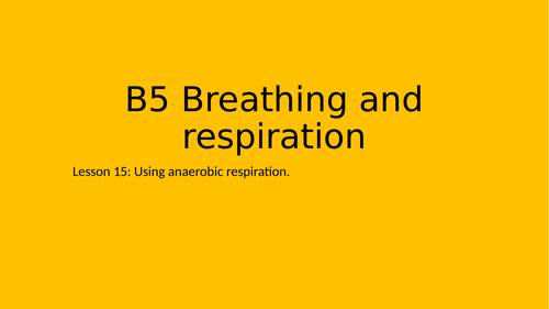 Anaerobic respiration investigation - KS3 15/16