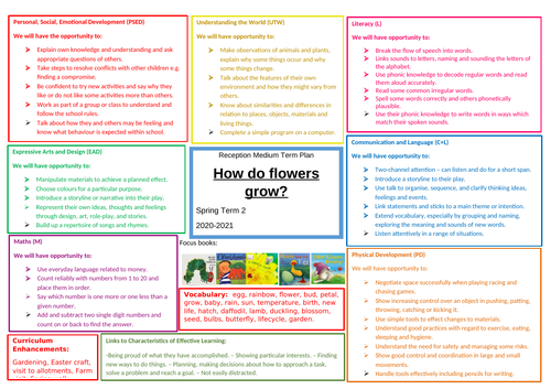 Reception Medium Term Plan - Spring - How Do Flowers Grow?