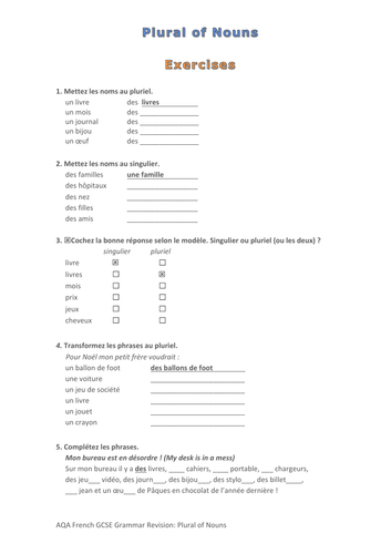 French Grammar Nouns 2: Plural of Nouns Exercises (Self Study Guide sep.)