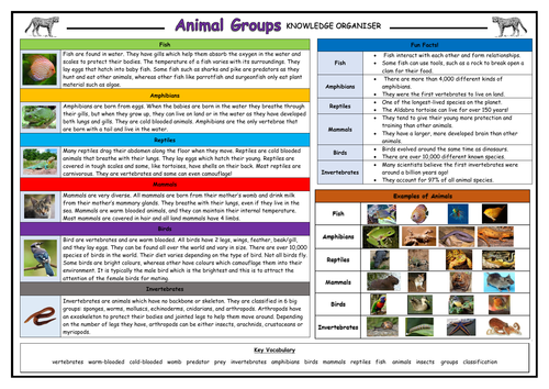 Animal Groups Knowledge Organiser! | Teaching Resources