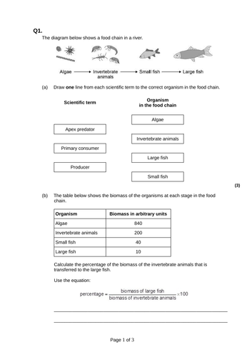 L1 Food chains and food webs | Teaching Resources