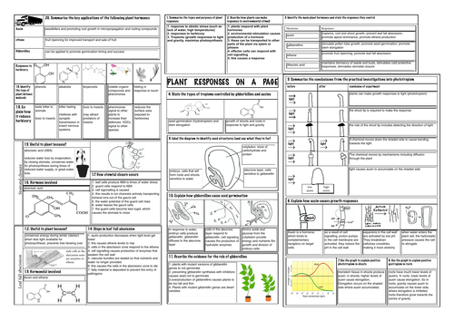 Plant responses editable pdf worksheet (OCR A level) | Teaching Resources