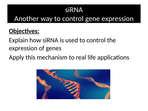 siRNA and gene expression