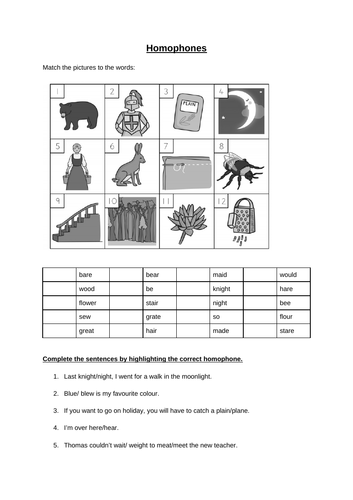 Homophones - Year 2 grammar lesson and resource