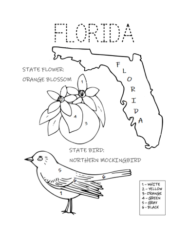 FLORIDA STATE BIRD AND FLOWER COLORING PAGE