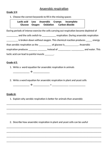 Bioenergetics graded worksheets