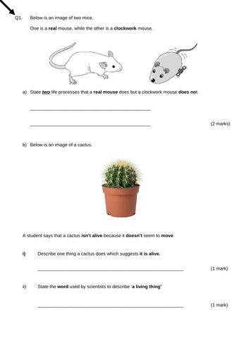 Year 7 Cells lessons (7A Exploring Science)