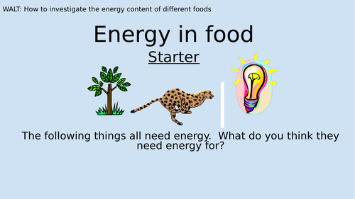KS3 - Energy in food