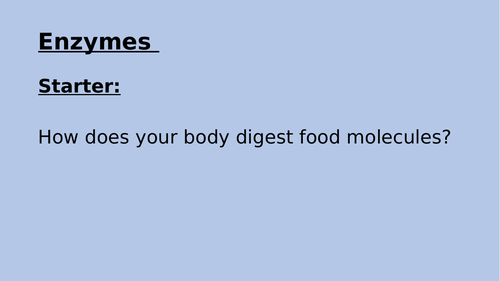 KS3 and 4 - Enzymes