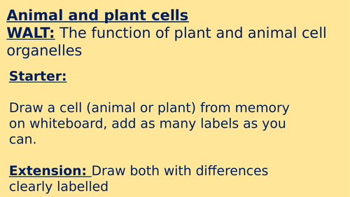 KS3+4 - Animal and plant cells