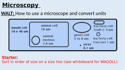 KS4 - Microscopy