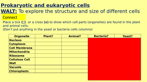 KS4 - Prokaryotic and eukaryotic cells