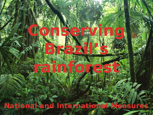 Conserving Brazil's Rainforest