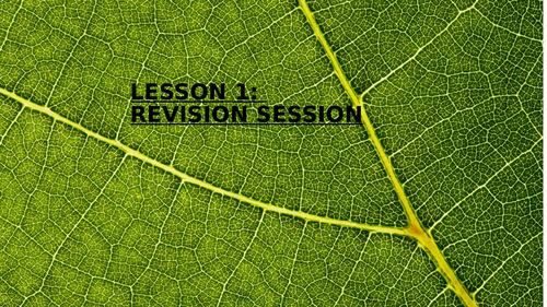 REVISION LESSONS - MATHS