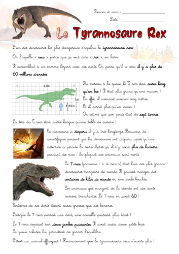 [French, dinosaurs] The Tyrannosaurus Rex - Written comprehension