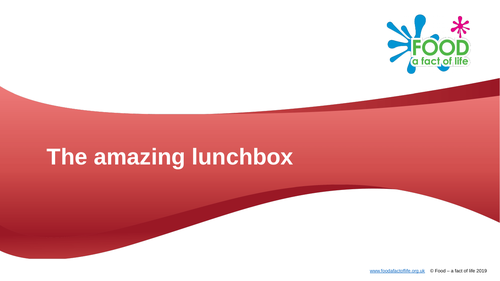 The amazing lunchbox presentation