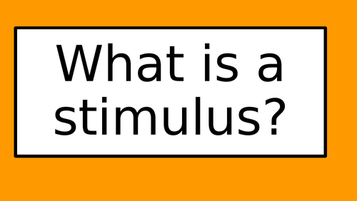 One off Drama Lesson - Online/Isolation Work