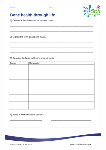 Health Issues - Bone Health Through Life