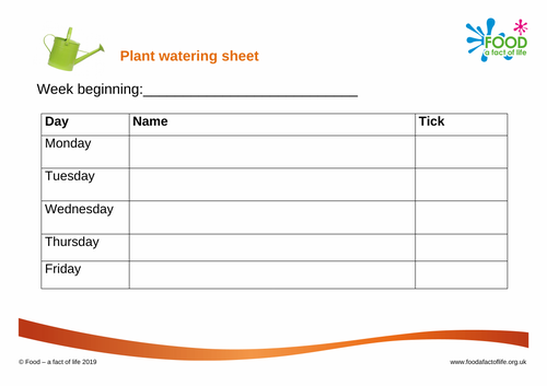 Plant Watering - Worksheet