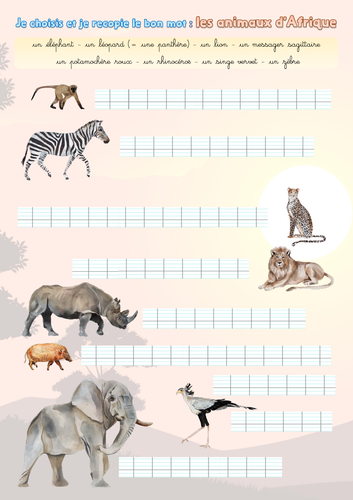Handwriting (French): African animals (les animaux d'Afrique)