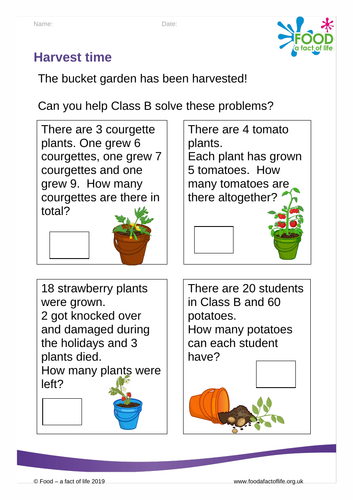 The bucket garden- harvest time