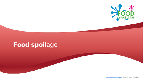 Cooking - Food Spoilage PowerPoint