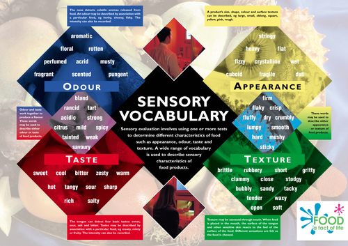 Sensory Evaluation - Sensory Vocabulary Poster