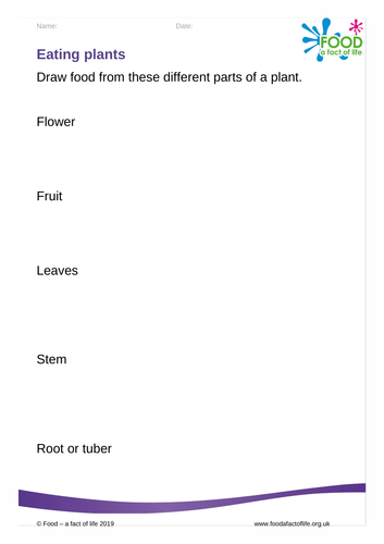 Food and Farming- Eating Plants Worksheet
