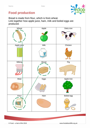 Food Production - Worksheet