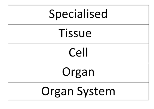 AQA Organ systems - Key words for display