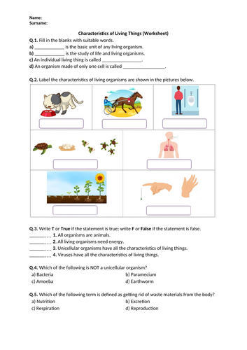 Characteristics of Living Things - Worksheet | Distance Learning