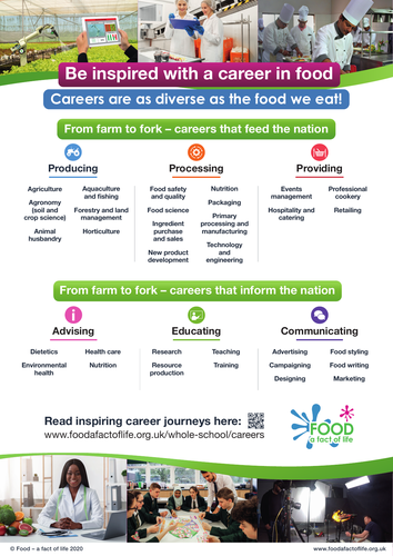 A Career in Food - Poster | Teaching Resources