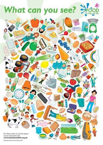 What Can You See? Guide and Poster