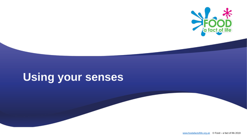Sensory Work With Food - Teacher's Guide