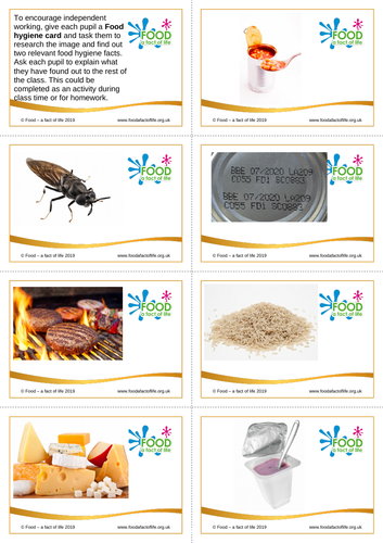 Food Safety Cards