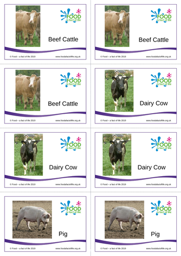Food and Farming - Matching Cards | Teaching Resources