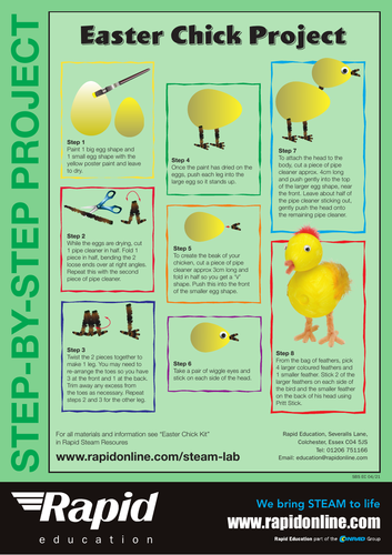 Easter Chick Project