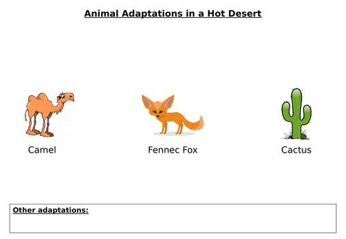 Hot Deserts Adaptations: Worksheets and Information