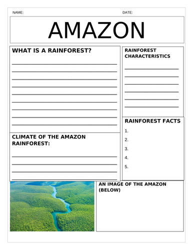 Tropical Rainforest (Amazon) Newspaper: Characteristics