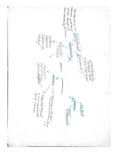 Pride & Prejudice Character Mind Maps (With Bonus Context sheets)