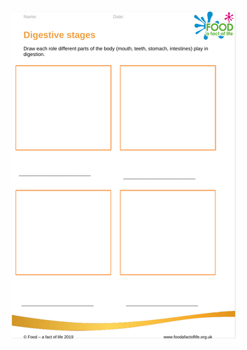 The Digestion Process - Worksheet