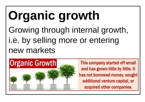 Edexcel GCSE Business Theme 2  Key words