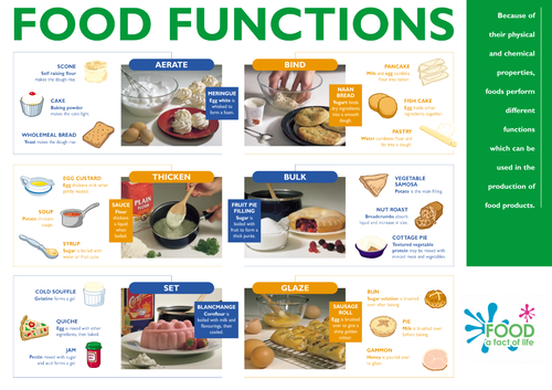 Food Functions - Poster