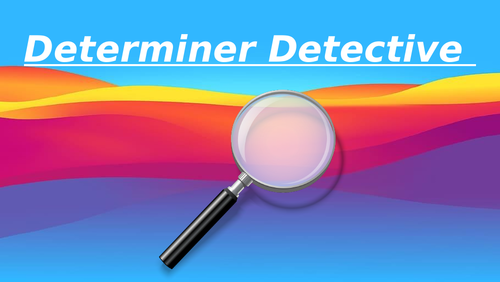 Determiner Detective