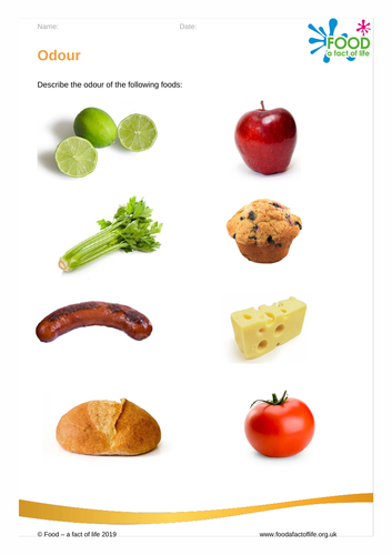 Sensory Evaluation - Odour Worksheet