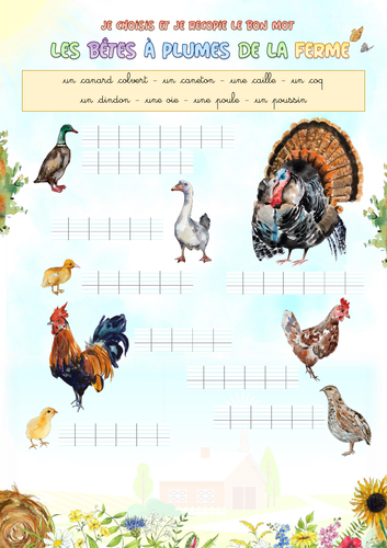 Handwriting (French): Feathered animals of the farm